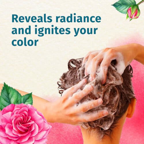 Herbal Essences Rose Extract Ignite My Colour Shampoo For Coloured Hair 5