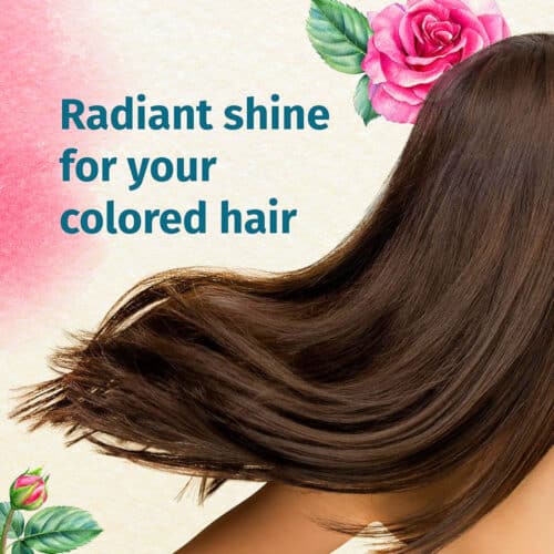 Herbal Essences Rose Extract Ignite My Colour Shampoo For Coloured Hair 7